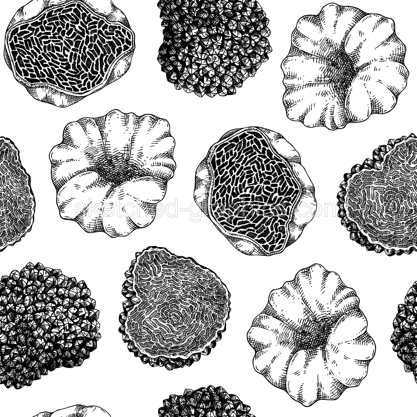 Truffle seamless pattern.  Edible mushroom background. Forest fungus sketch. Fungal protein, mycoprotein source. Healthy food and plant-based meat substitutes texture design Illustration